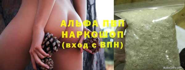 стаф Арсеньев