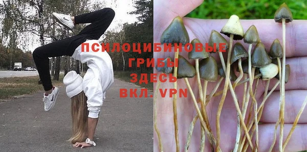 прущая мука Армянск
