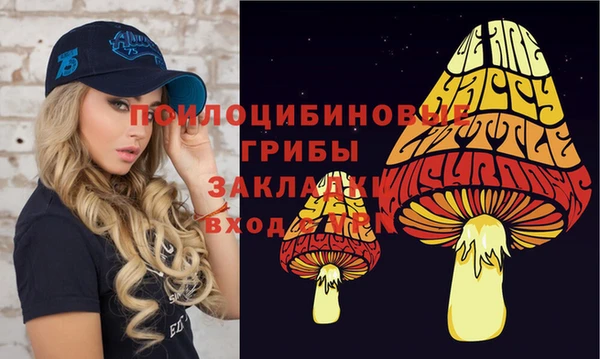 прущая мука Армянск
