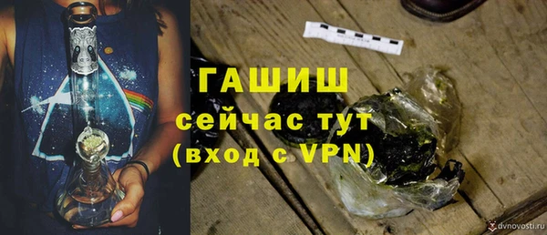 стаф Арсеньев