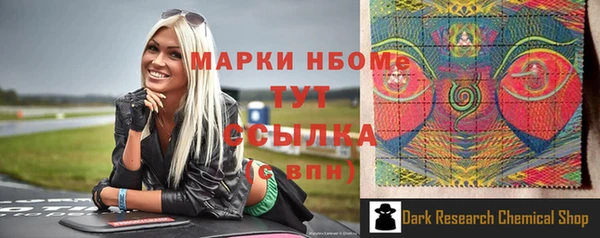 стаф Арсеньев