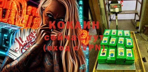 стаф Арсеньев