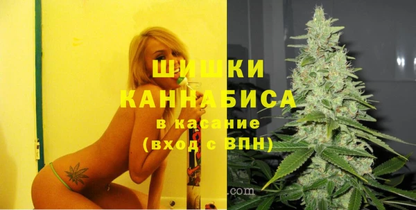 стаф Арсеньев