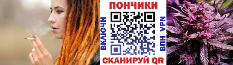 что такое наркотик  Сасово  Бошки Шишки ГИДРОПОН 